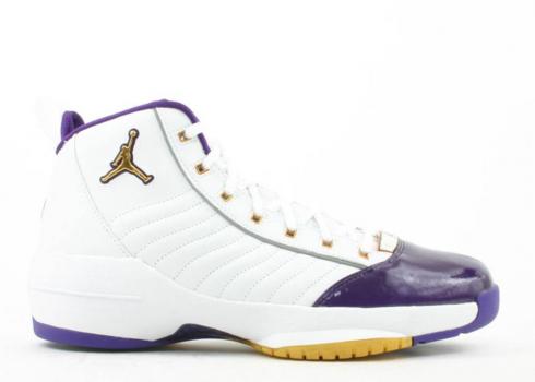 Air Jordan 19 Og Se West Coast Purple White Varsity Gold Metallic 308492-172