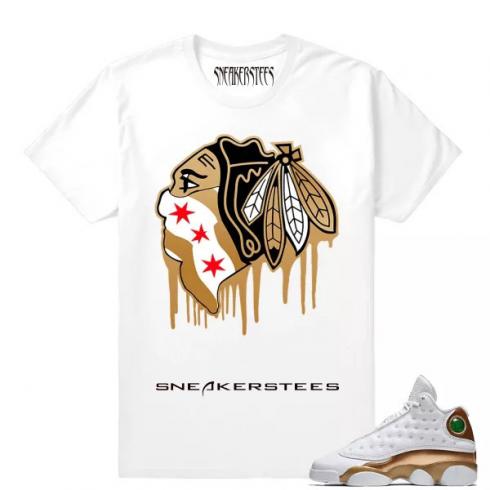 Match Air Jordan 13 DMP Black Hawks Drip White T shirt