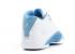 Air Jordan 21 Low Blue Silver White University Metallic 313529-142