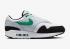 Nike Air Max 1 White Stadium Green Pure Platinum Black FN6952-100