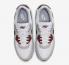 Nike Air Max 90 Dark Team Red White Black Pure Platinum FN6958-101