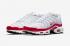 Nike Air Max Plus AM1 University Red White Grey DM8332-100