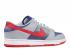 Dunk Low Pro B Blue Samba Hyper Silver 624044-461